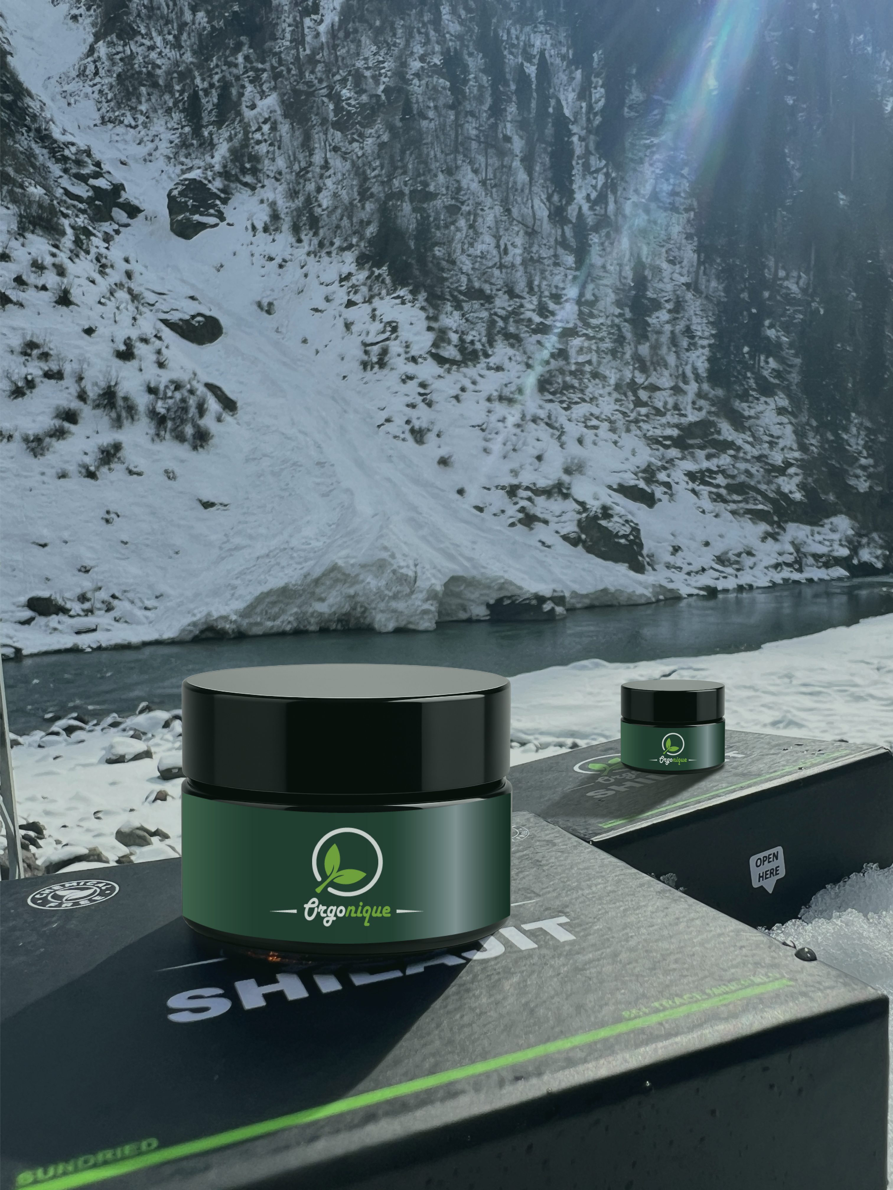 Orgonique Himalayan Shilajit Resin 25g (Pack of 2)